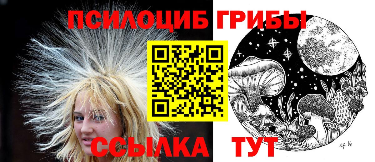 Псилоцибиновые грибы GOLDEN TEACHER Елабуга