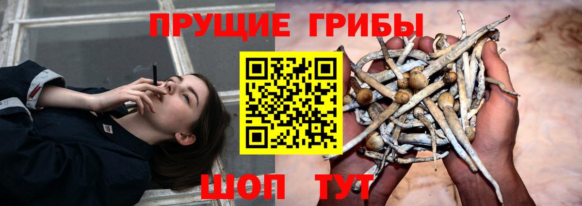 Псилоцибиновые грибы мицелий  Вход с VPN  наркота  Елабуга 